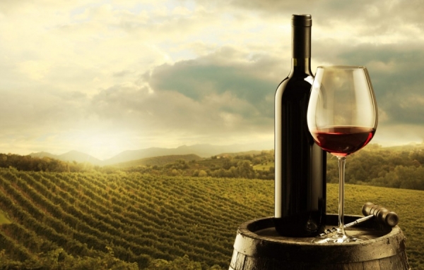 La 25e édition de la Dégustation des vins de Californie au profit de Cœur + AVC est à nos portes