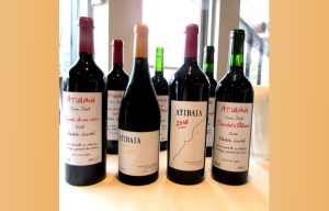 Atibaia, des vins d’exception d’un des plus vieux terroirs du monde