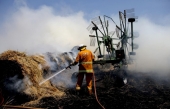 Soixante vignobles touchés par les flammes en Australie